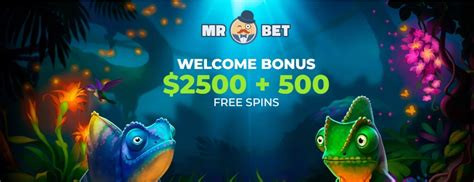mr bet casino nz